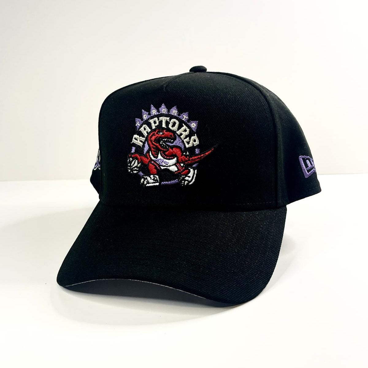 9FORTY A-Frame Toronto Raptors "30th Anniversary" Side Patch Snapback
