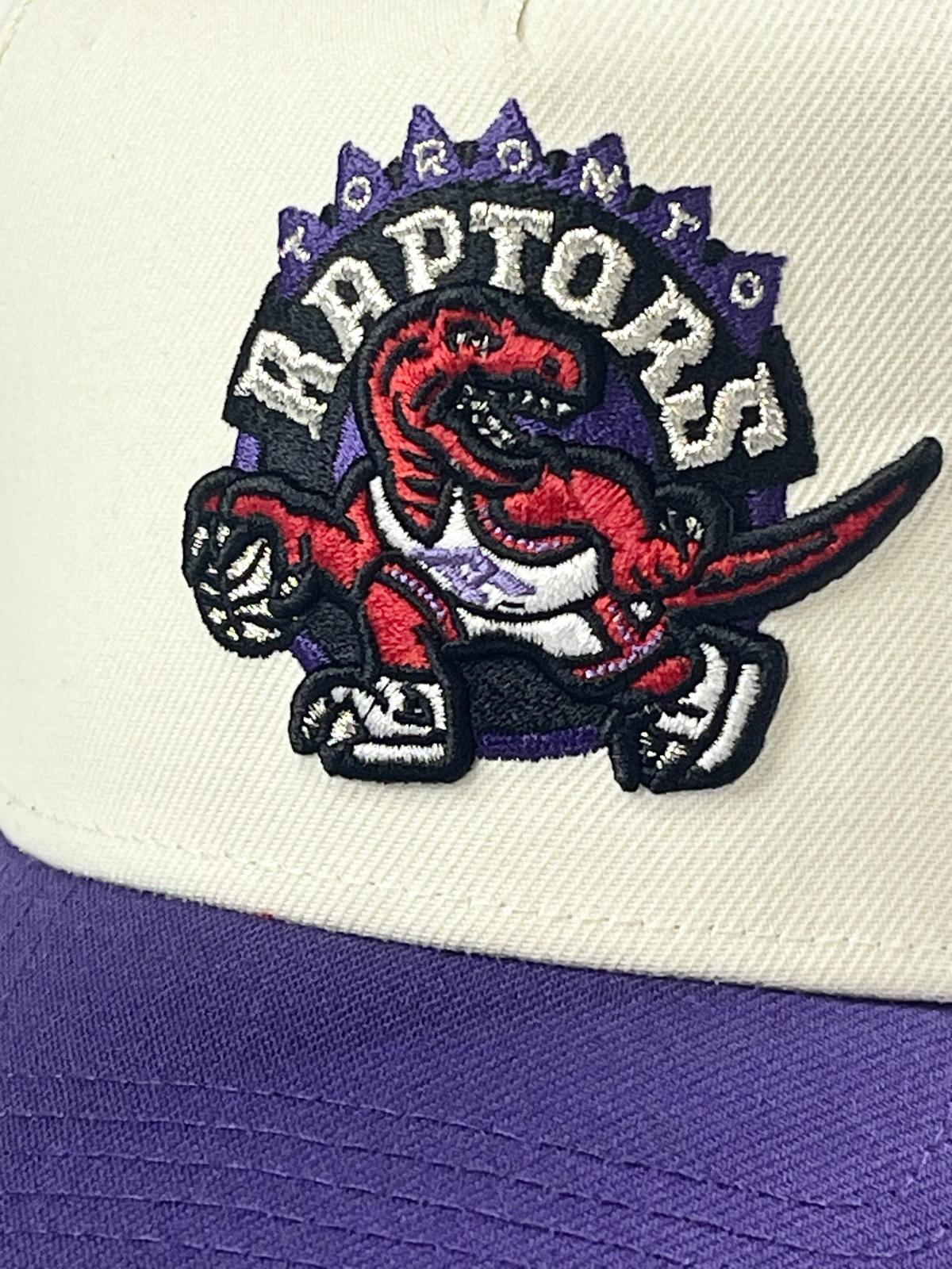 9FORTY A-Frame Toronto Raptors "30th Anniversary" Side Patch Snapback