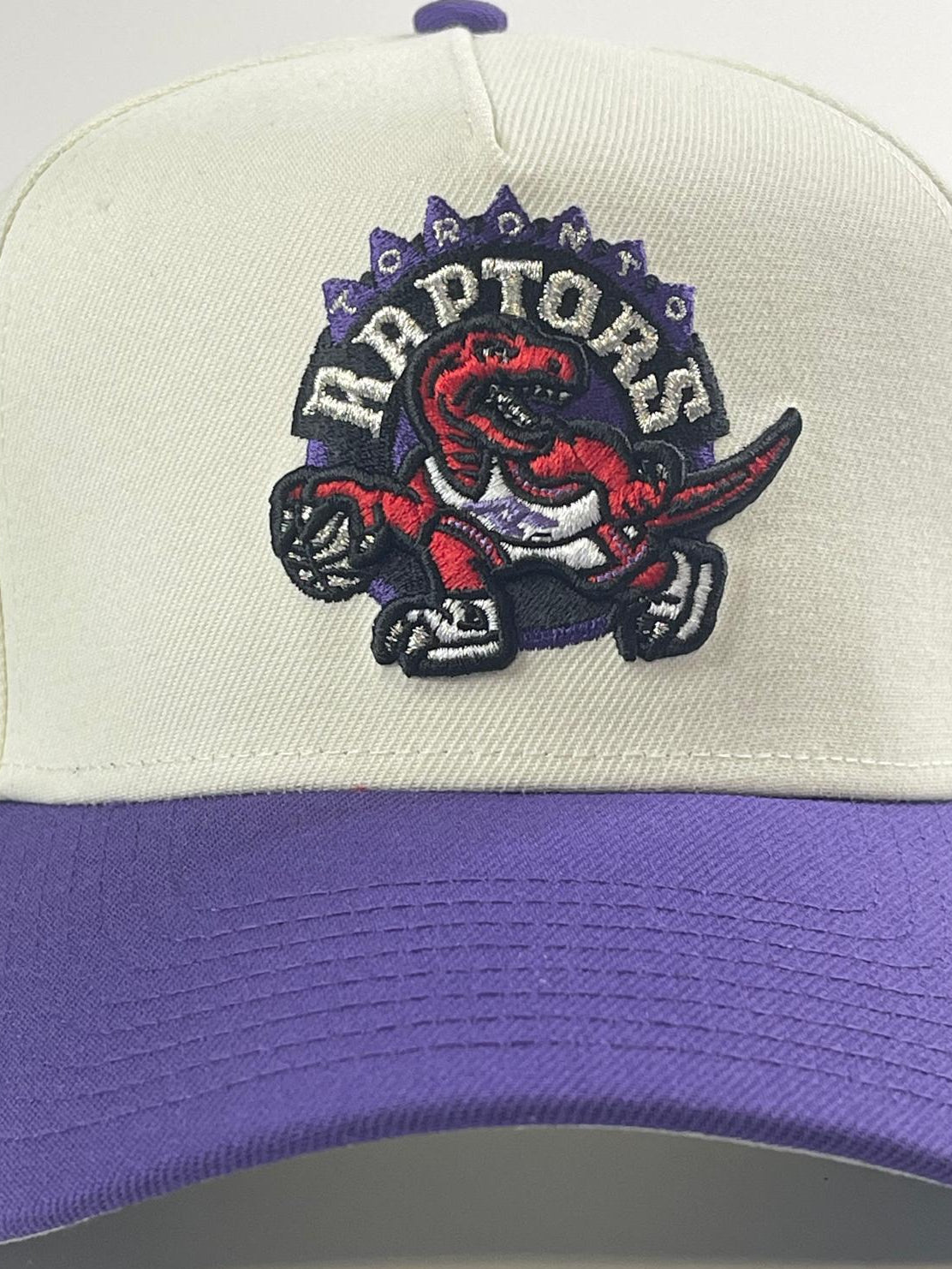 9FORTY A-Frame Toronto Raptors "30th Anniversary" Side Patch Snapback